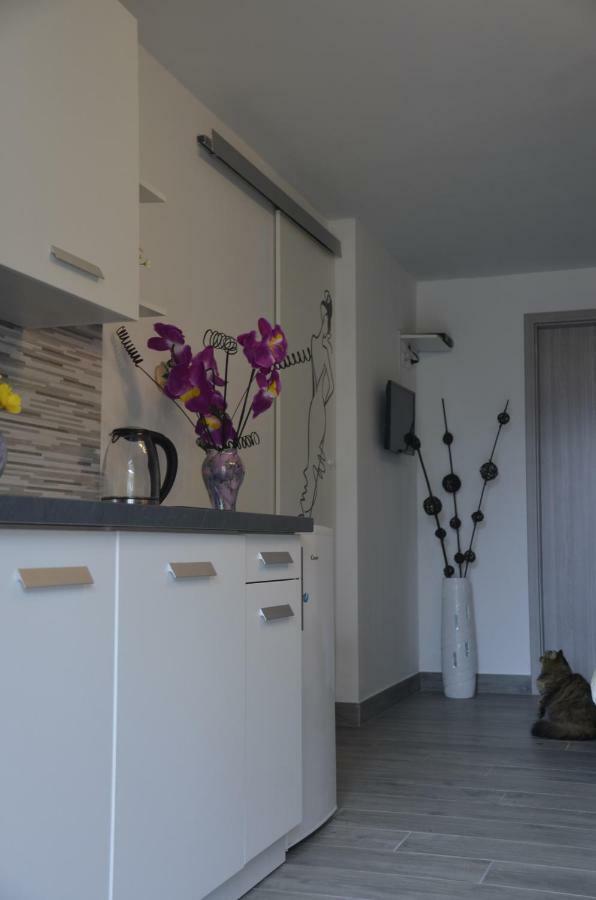 Apartments Lilly - Studio Rijeka Exterior photo